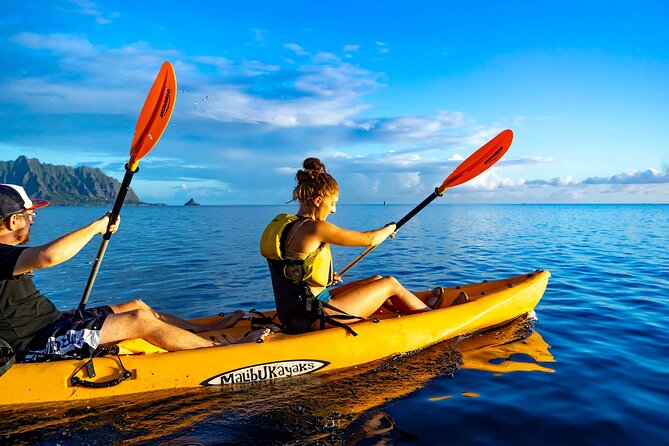 Kaneohe Bay Coral Reef Kayak Tour Review - Customer Feedback Analysis