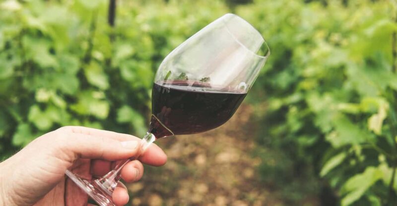Kavala: Wine Tour - Highlights of the Tour