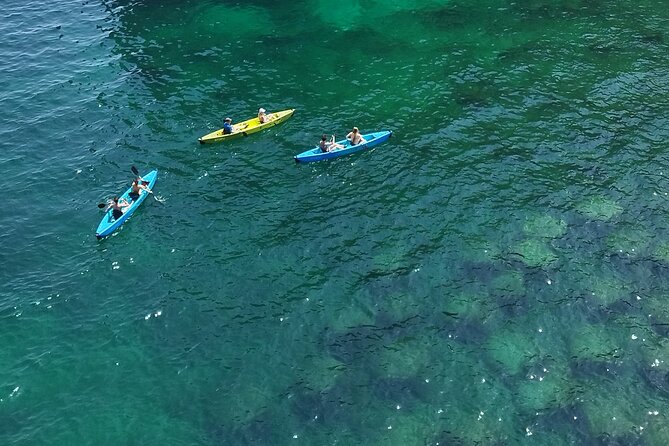 Kayak Excursion in Polignano a Mare - Safety and Health Restrictions
