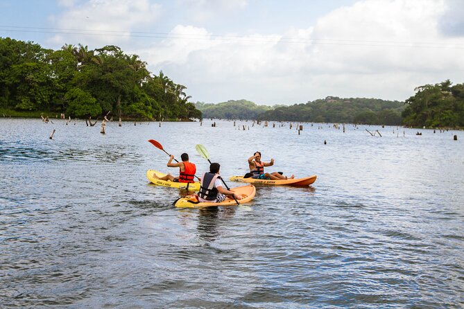 Kayak & Horseback Riding in the Jungle - Scenic Landscapes