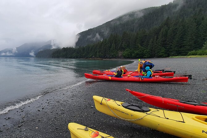 Kayak Paddle on Resurrection Bay - Guides and Expertise