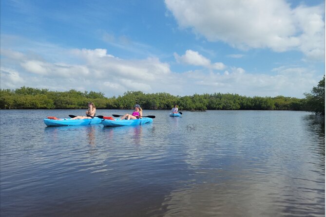 Kayak Rentals - Accessibility Information