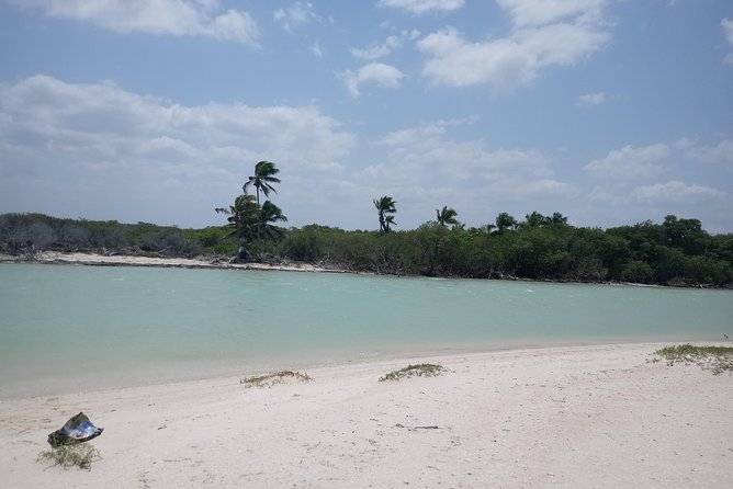 Kayak Through Mangroves to Secret Beach - Meeting and Pickup Information