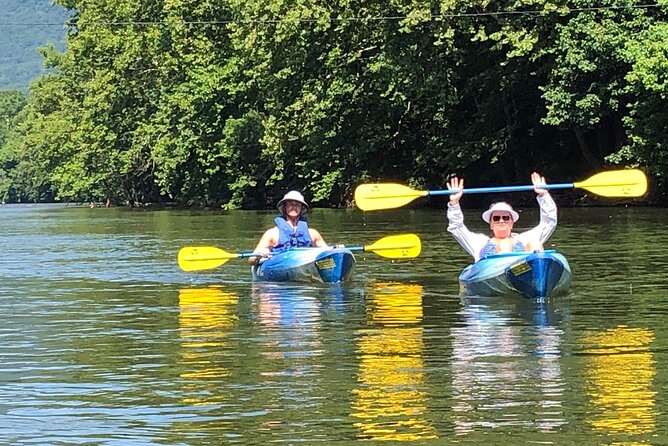 Kayak Tour of Jamestown Island (Small Group or Private) - Health and Safety Guidelines