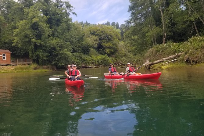 Kayaking Brookings Chetco River - Wildlife and Scenic Views