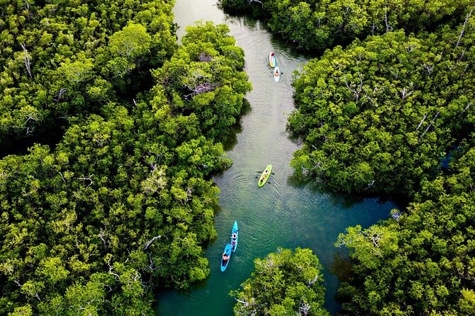 Kayaking Tour in Cancun - Health and Safety Guidelines