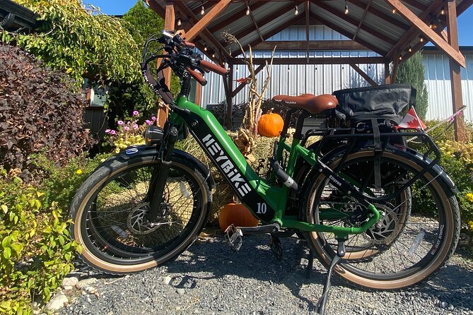 Kelowna E-Bike Bee Tour With Tastings, Lunch & Audio Guide - Health and Safety Requirements