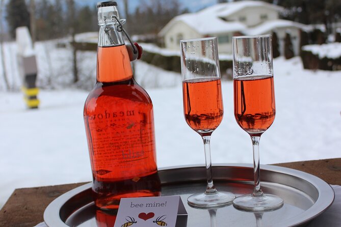 Kelowna Snow E-Biking Adventure With Lunch, Wine Tasting & Smores - Participant Requirements