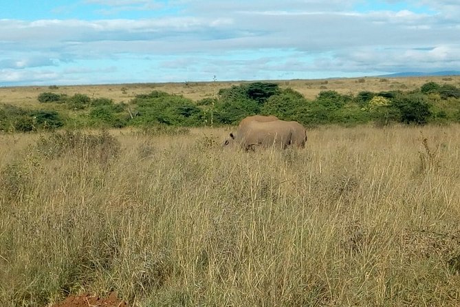 Kenya Safari - Pickup Information