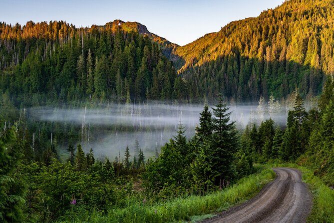 Ketchikan Backcountry Driving Tour Through the Tongass - Experience Highlights