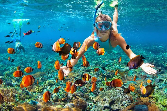 Khasab Half Day Dhow Cruise With Dolphin Watching & Swimming - Pickup and Meeting