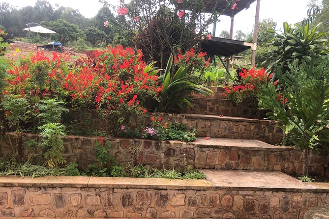 Kigali City Tour, Genocide Memorial Visit, Walking Tour in Kigali - Genocide Memorial Visit