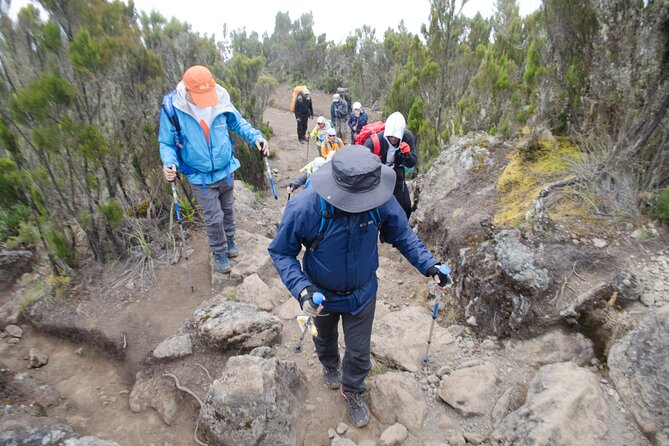 Kilimanjaro Lemosho Route 7 Days - Fees and Inclusions