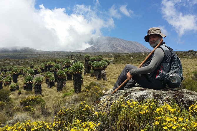 Kilimanjaro Marangu Route Day Tour - Exclusions