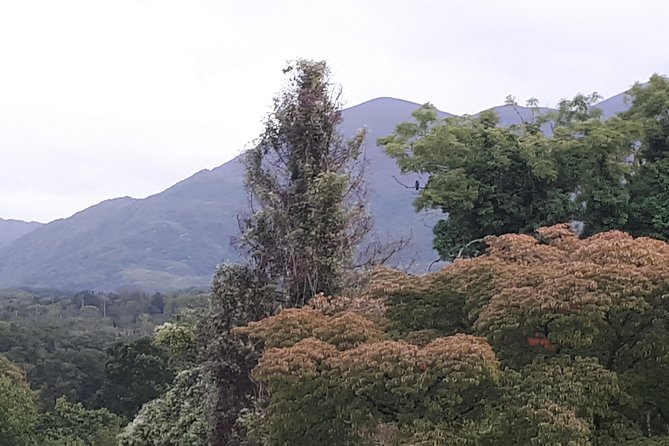 Killarney Valley & National Park Tour - Customer Feedback
