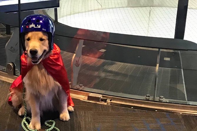 King of Prussia Indoor Skydiving With 2 Flights & Personalized Certificate - Certification of Flight Achievement