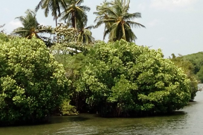 Koggala Lake Boat Tour - Health and Safety Guidelines