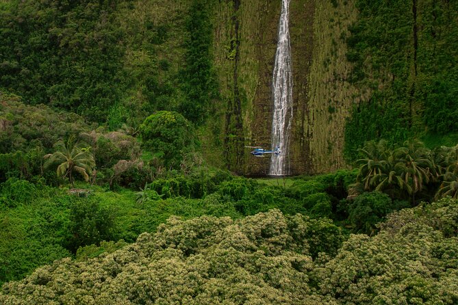 Kohala Waterfalls With Exclusive Landing Helicopter Tour - Check-in and Cancellation Policy