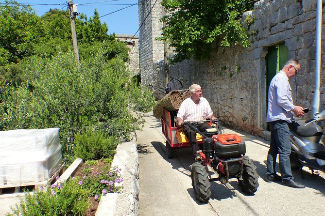 Kolocep Island Hiking and Swimming Full Day Trip From Dubrovnik - Personalized Small Group Experience