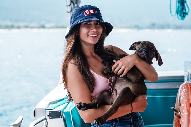 Kona: 3 Hour Dolphin Watch, Reef Snorkel, & BBQ Lunch - Departure Point and Logistics