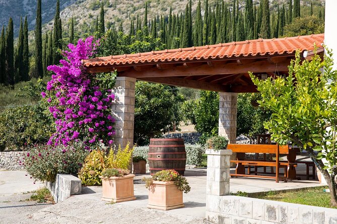 Konavle Tradition & Vines: Brajković Winery Journey - Review Highlights