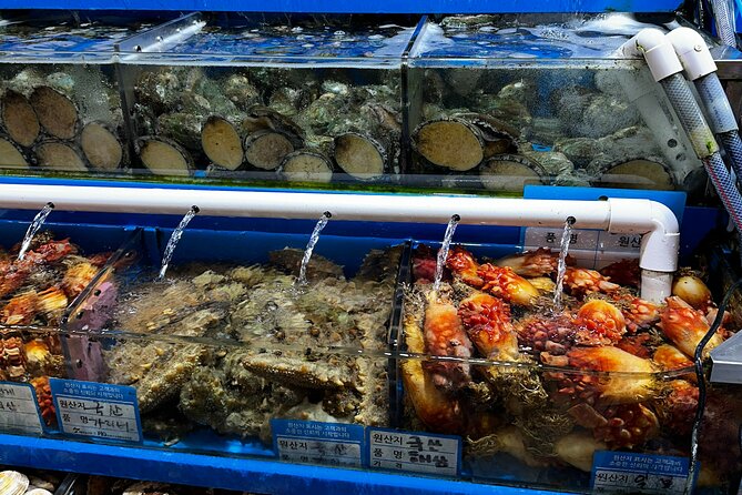 Korean Market Adventure With Chef Yie - Noryangjin Fish Market - Seasonal Seafood Selection