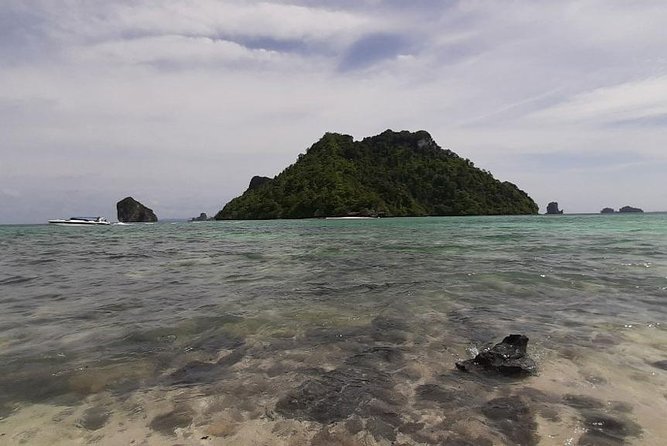 Krabi 7 Islands Sunset and Bioluminescence Tour Include BBQ Dinner - Included Amenities