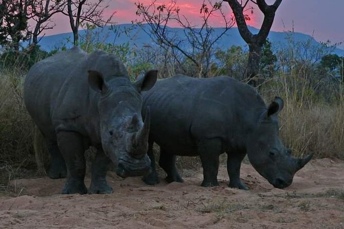 Kruger National Park Best Tour - Meeting and Pickup Details