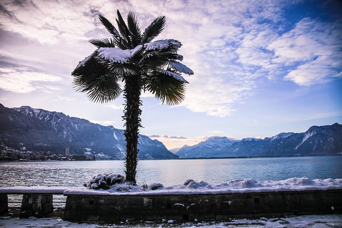 (Ktg303) - Winter Montreux, Chillon & Chaplins World From Geneva - Traveler Expectations and Participation