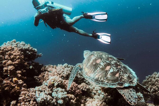Kusadasi Scuba Diving Tour By Local Experts - Diving Equipment and Safety