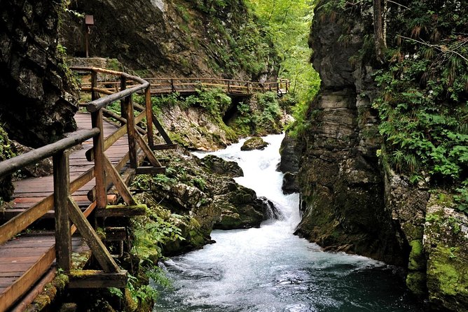 Lake Bled and Ljubljana Group Shore Experience From Koper - Expert Local Guide Insights