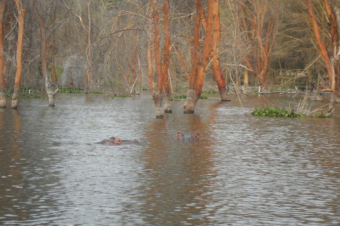 Lake Nakuru National Park Day Tour Via Lake Naivasha - Meeting and Pickup Information