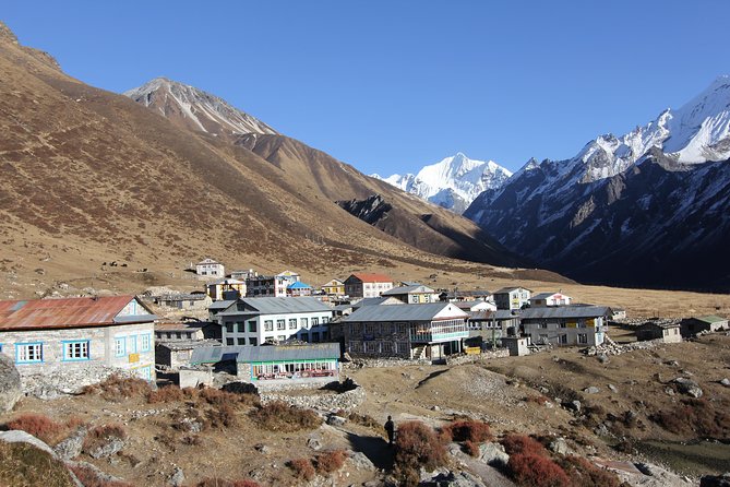 Langtang Valley Trek - Included Services