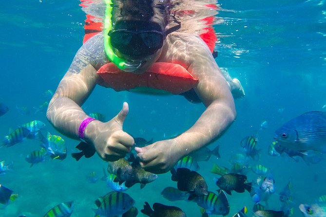 Las Caletas Beach & Adventure Park With Buffet Lunch and Open Bar - Family-Friendly Attractions