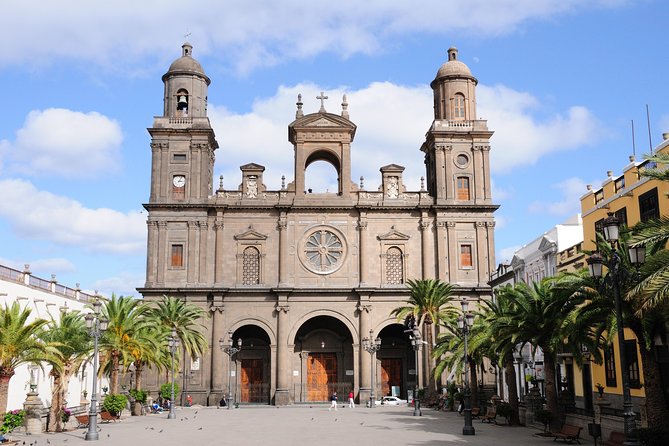 Las Palmas City Tour and Surroundings - Strolling Vieira Y Clavijo Botanical Garden