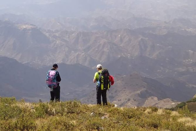 Lasta Mountains: Highland Eco Trekking Tour in Lalibela - Encounter With Gelada Baboons and Wolves