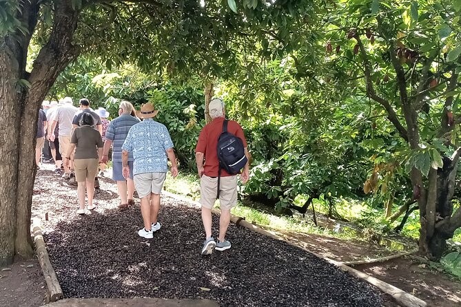 Lauras Herb & Spice Garden Tour. - Exploring the Garden