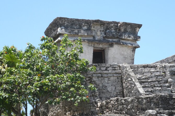 LDS Tour to Tulum Ruins + Cenote - Accessibility and Requirements