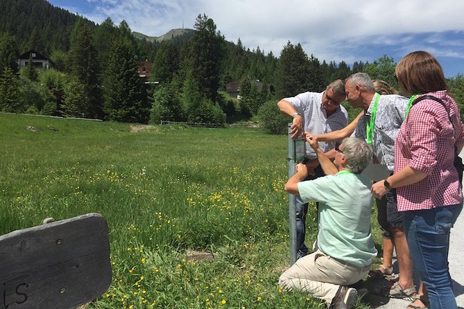 Lenzerheide Foxtrail Anda - Accessibility and Requirements