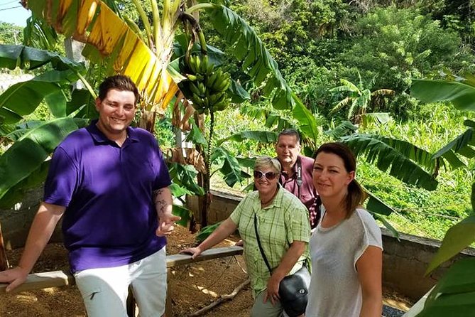 Lets Go Native Roatan City Cultural Tour, Transfer - Roatan City Exploration