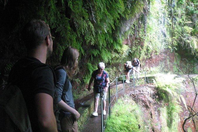 Levada Do Rei - Ribeiro Bonito (Full Day Walk) - What To Expect