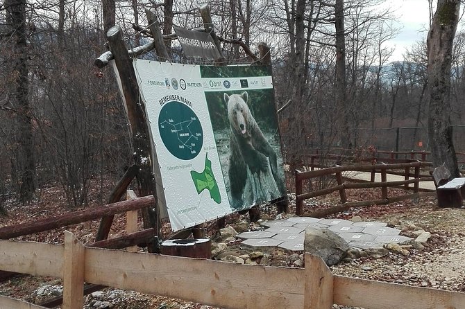 Libearty - the Brown Bear Sanctuary From Zarnesti - Bran Castle Exploration