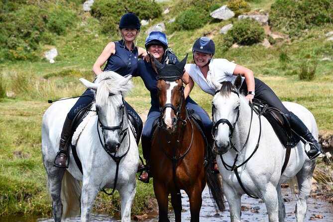 Liberty Trails - Dartmoor Horseback Adventures - Meeting Point at Tour The Sum Up
