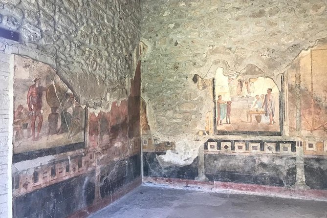 Life and Death of the Roman City of Pompeii With a Local Guide. Private Tour - The Tragic Fate of Inhabitants
