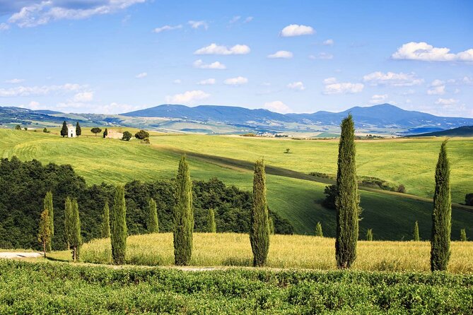 Livorno Shore Excursion: Bolgheri and Supertuscan Private Tour - Lunch and Stroll in Bolgheri