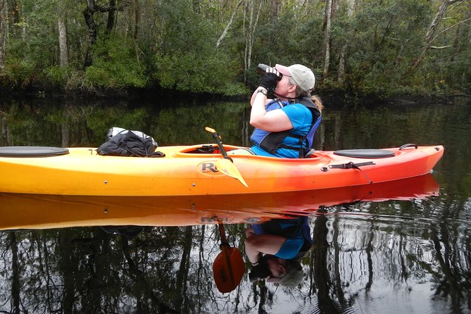 Lofton Creek Kayaking Trip With Professional Guide - Accessibility and Participation