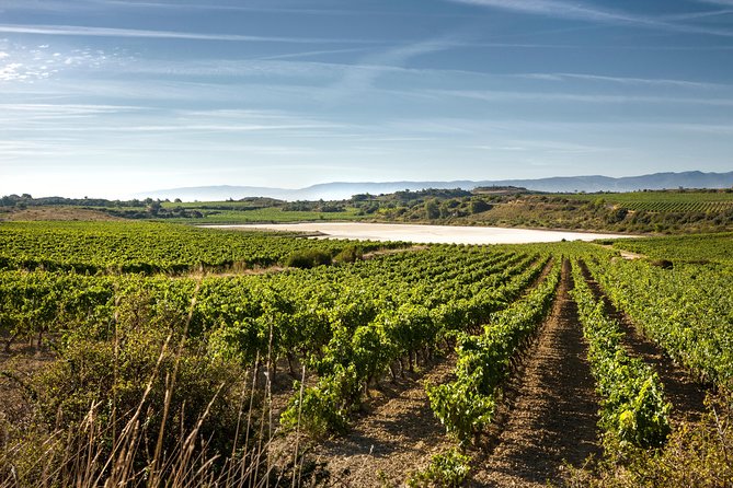 Logrono Small-Group Half-Day Wine Tour  - Pamplona - Cancellation and Payment Options