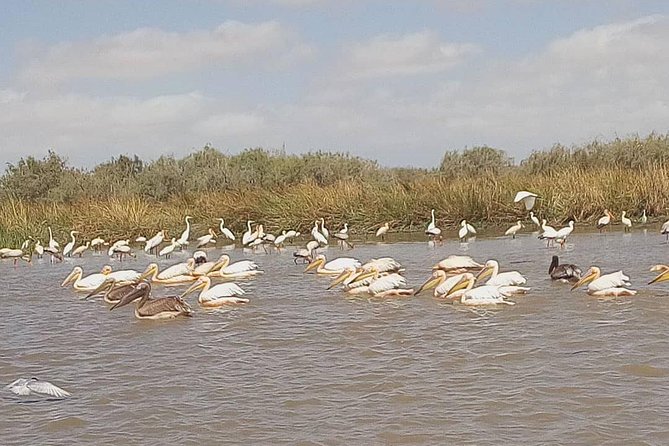 Lompoul Desert With Delta Du Saloum 2 Nights 3 Days Trip. . - Tour Details