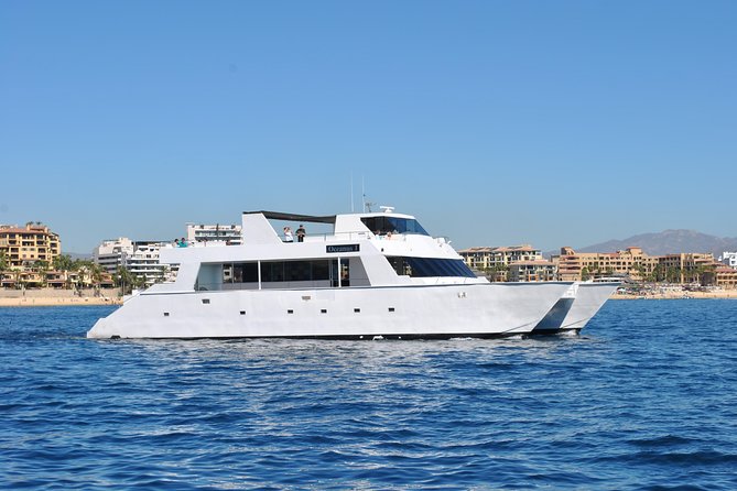 Los Cabos Reef Snorkeling Cruise With Lunch and Open Bar - Guest Feedback and Ratings