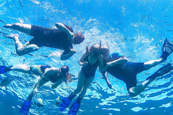 Los Cabos Snorkeling Tour by Speed Boat With Photos Included - Safety and Accessibility